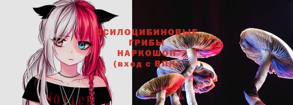 молекула духа Алексин