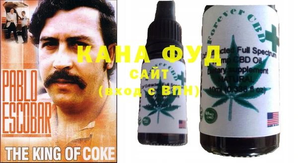 молекула духа Алексин