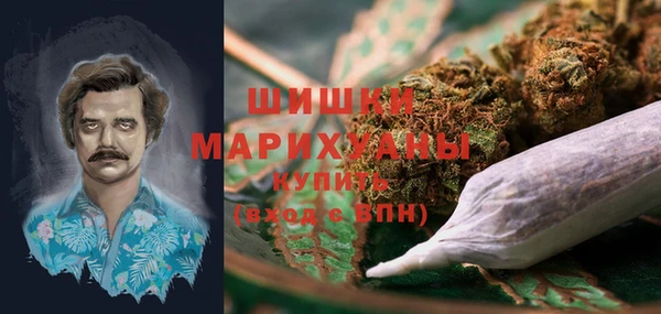 молекула духа Алексин